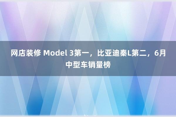 网店装修 Model 3第一，比亚迪秦L第二，6月中型车销量榜