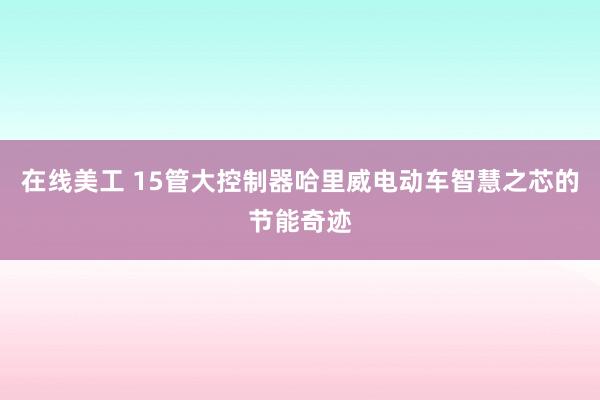 在线美工 15管大控制器哈里威电动车智慧之芯的节能奇迹